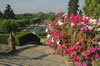 Colorful photo of Alcazar's fountains with petunias in Cordoba